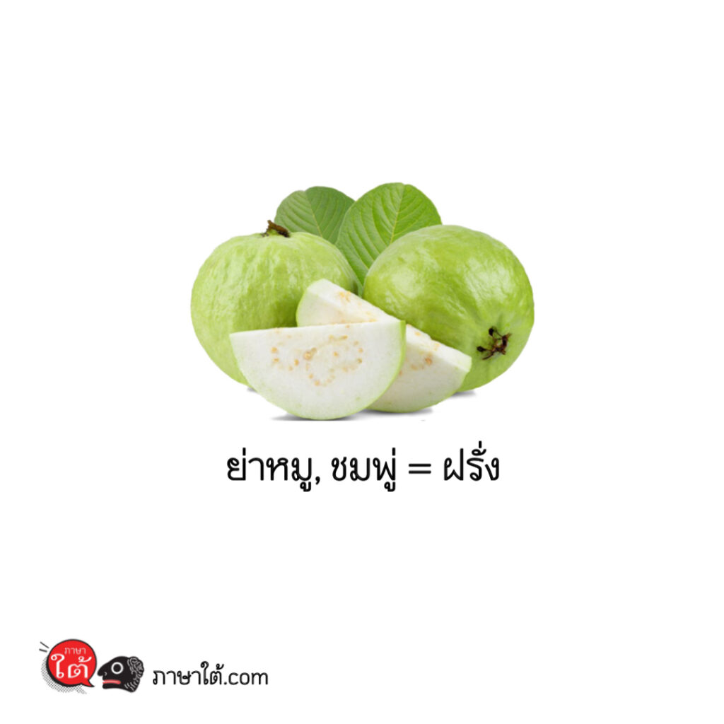 ผลไม้ภาษาใต้ รู้ไว้จะได้ไม่งงเวลาไปตลาดแถวภาคใต้ - ภาษาใต้